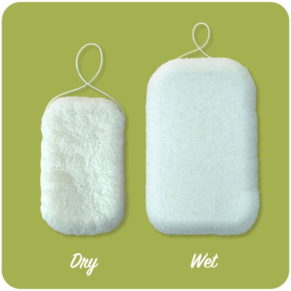 Friendly Soap konjac sponge shown dry alongside wet to show how much it expands when wet