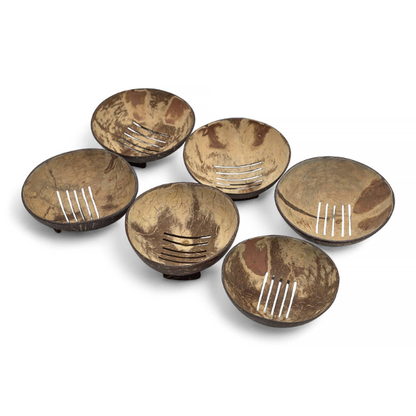 A set of six round coconut shell soapdishes with slotted centres, set against a plain white background, showing slight differences in tone and shape.