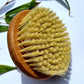 Wooden body brush with natural bristles on a light background