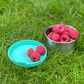 Raspberries on a green lid and in a metal pot on grass