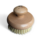 Wooden body brush featuring the brand 'ecojiko' on a white background, 