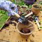 Coco coir biodegradable and reusable plant pot shown being filled with compost with a seedling