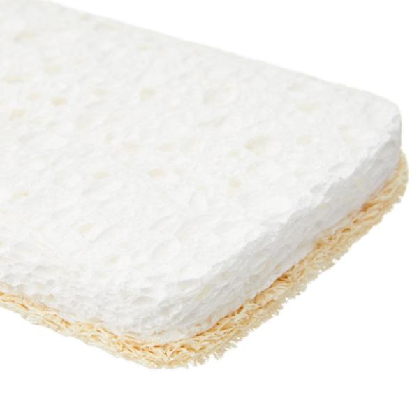Compostable eco sponges, shown close up