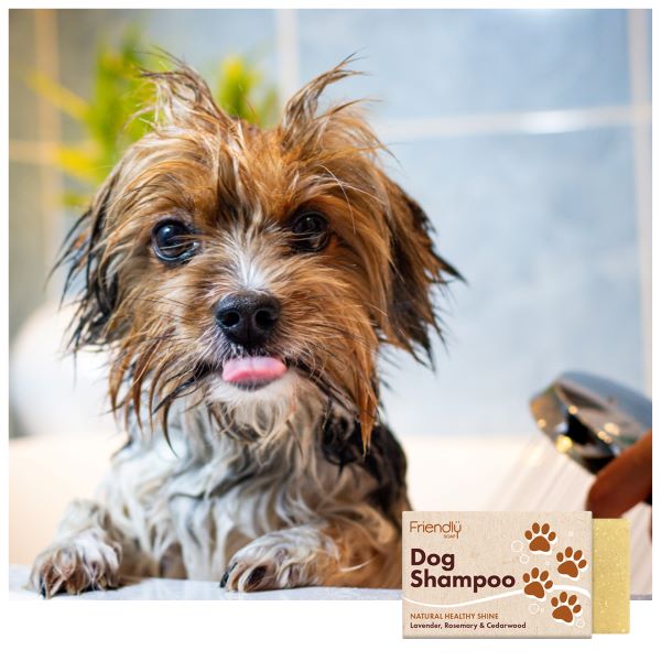 Dog shampoo bar shown alongside a wet dog in a bath
