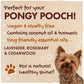 Image of a dog with text reading "Perfect for your pongy pooch; vegan and cruelty-free, contains coconut oil and turmeric, dog friendly essential oils; lavender rosemary and cedarwood; For a natural healthy shine"