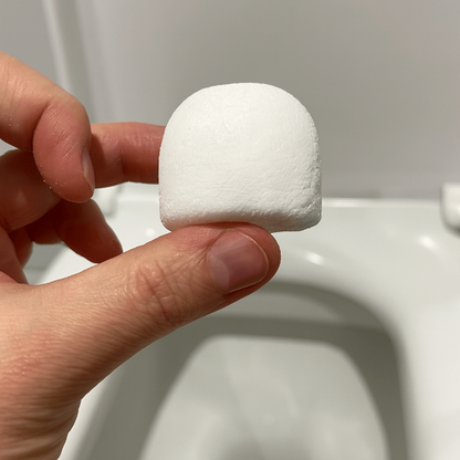 Hand holding a white toilet block in front of a toilet.