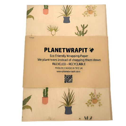Handmade recycled wrapping paper in Houseplants design (brown kraft paper with hand-drawn style houseplants)