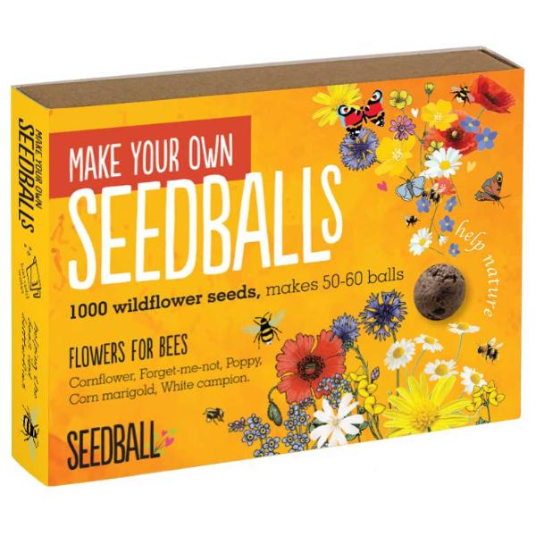 Box of 'Make Your Own Seedballs' with floral design and bee and butterfly illustrations and text on an orange background