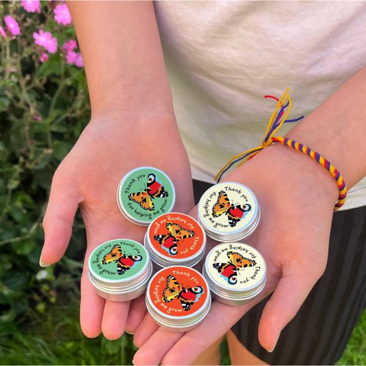Children's hands holding mini seedball tins with butterfly designs and text.
