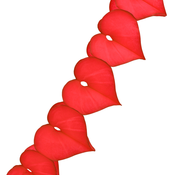Paper garland red hearts shown close up