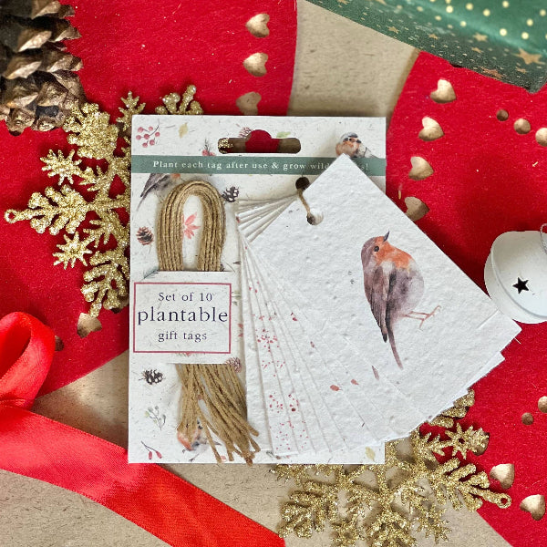 A package of 10 plantable gift tags displayed on a festive Christmas background. The tags are made from seeded white paper with watercolour illustrations of robins, and jute twine. 