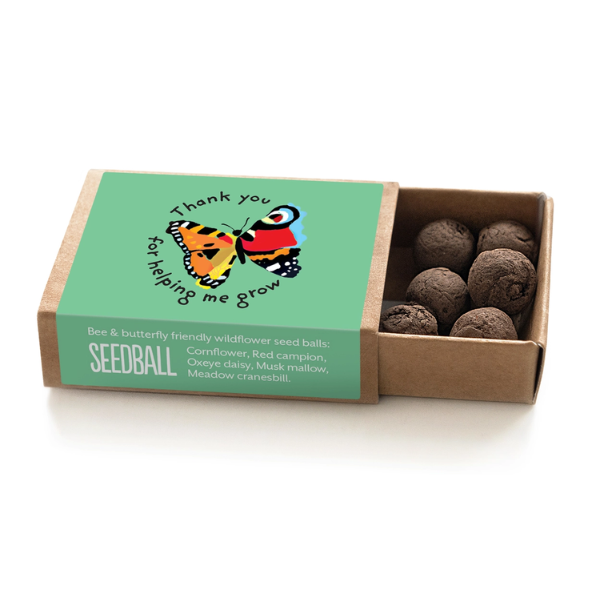 A Seedball wildflower seedball set in a cardboard matchbox-style container with a mint green lid. The lid features a colourful butterfly illustration and the text 'Thank you for helping me grow'.