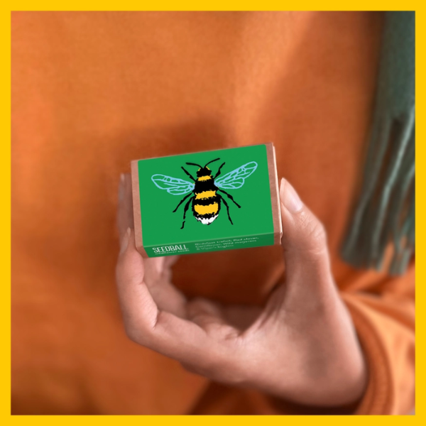 A Seedball wildflower seedball set in a cardboard matchbox-style container with a mint green lid held in a hand. The lid features a colourful butterfly illustration and the text 'Thank you for helping me grow'.