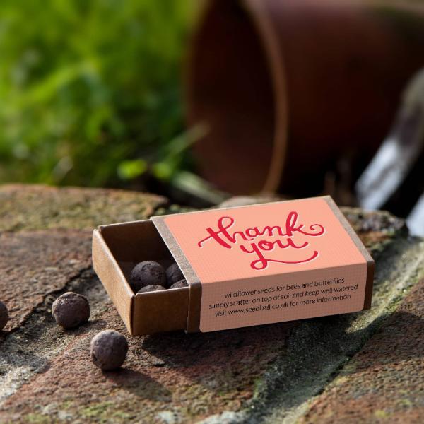 Small cardboard seedball box with 'thank you' message on a stone surface with a blurred natural background, showing the seedballs inside and alongside
