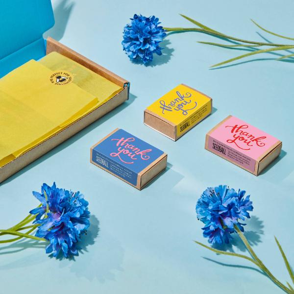 Colourful 'thank you' seedball boxes cards with blue flowers on a light blue background