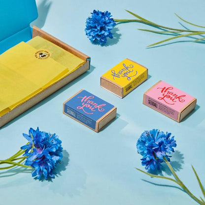 Colourful 'thank you' seedball boxes cards with blue flowers on a light blue background