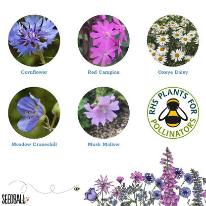 Images of various flowers with labels and the RHS Plants for Pollinators logo on a white background.