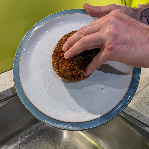 Person scrubbing a white plate with a hedgehog coconut fibre scrubber in a kitchen sink.