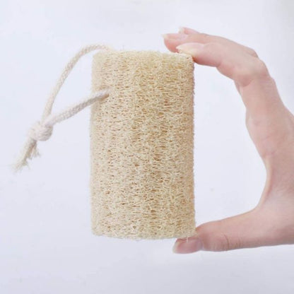 Natural loofah for body or cleaning shown held in a hand with the hanging loop visible