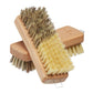 Two vegetable brushes shown with bristles up
