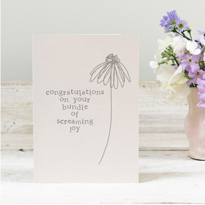 Eco card new baby screaming