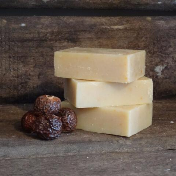 Bay laurel castile soapnut soap