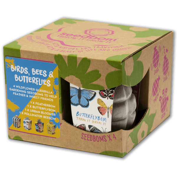 Seedbom gift set