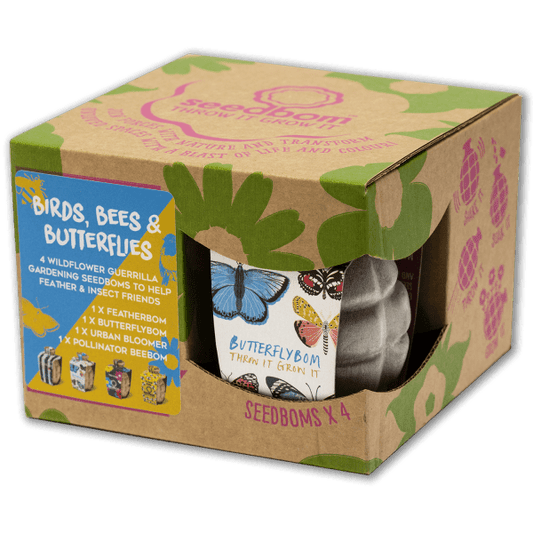 Seedbom gift set