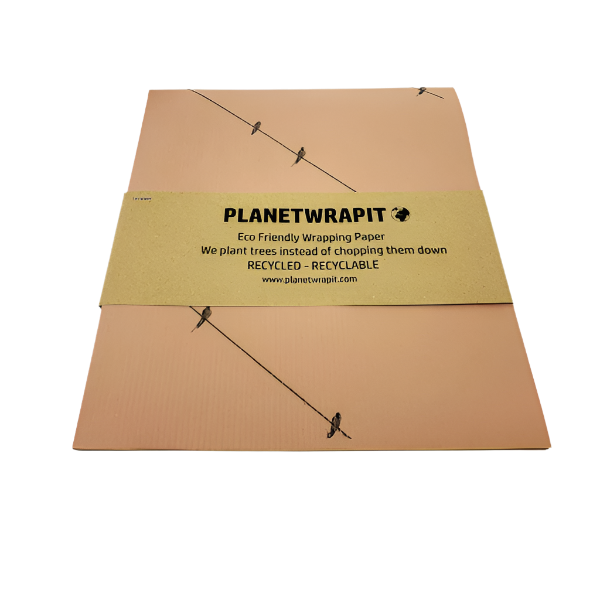 Eco-friendly wrapping paper Birds on a wire Ash pink