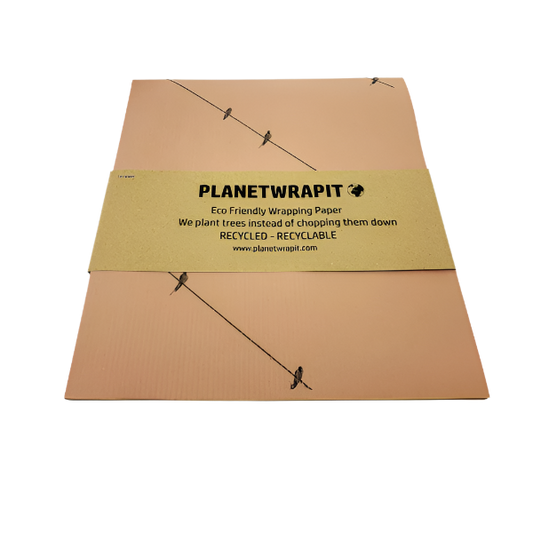 Eco-friendly wrapping paper Birds on a wire Ash pink