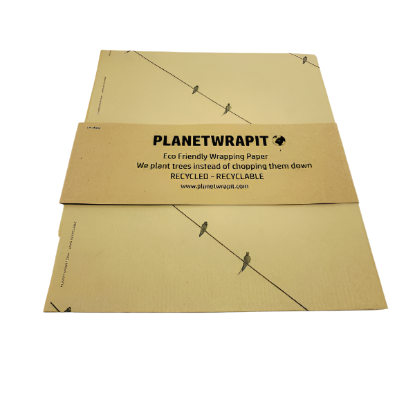 Eco-friendly wrapping paper Birds on a wire Natural