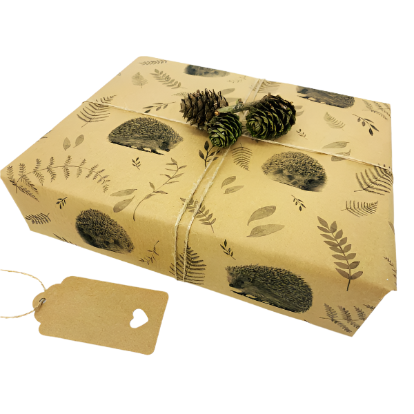 Eco-friendly wrapping paper hedgehog