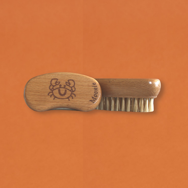 Eco-friendly kids' nail brush Cute crab design