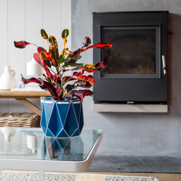 POTR self watering plant pot medium in navy blue on table with plant inside