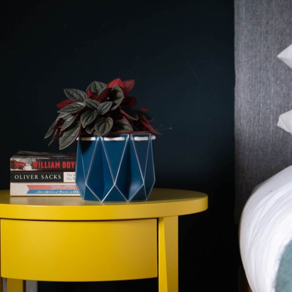 POTR self watering plant pot small in navy blue on table with plant inside