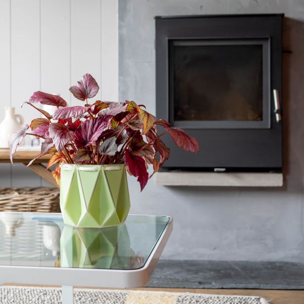 POTR self watering plant pot medium in sage on table with plant inside