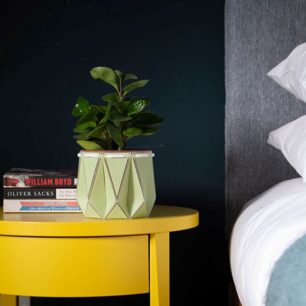 POTR self watering plant pot small in sage on table with plant inside