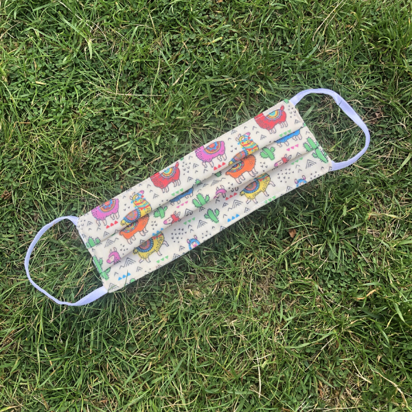 Reusable mask Llama and cacti