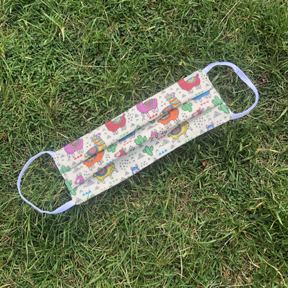 Reusable mask Llama and cacti