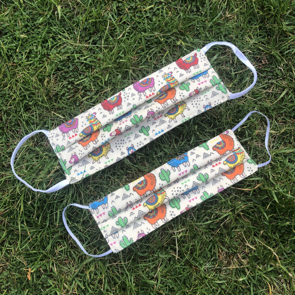 Reusable mask Llama and cacti