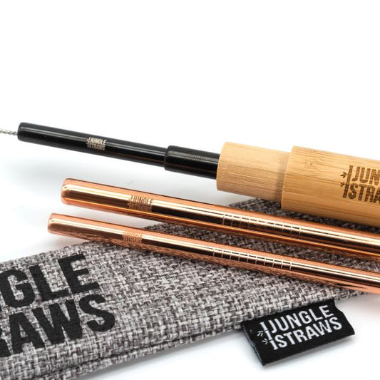 Stainless steel eco-friendly straw set