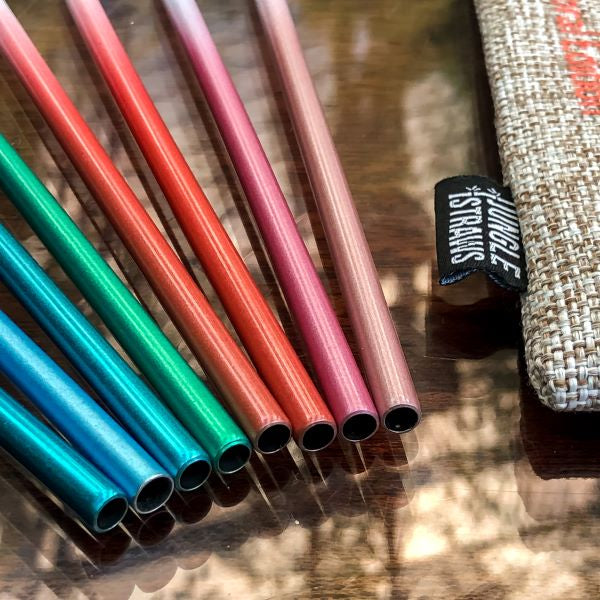 Reusable stainless steel straw set with pouch