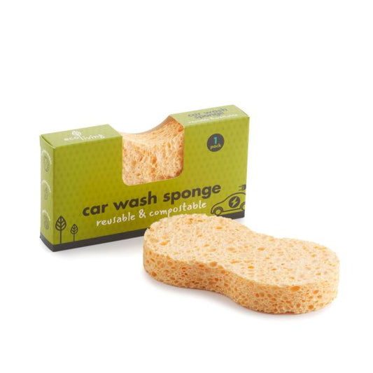 Compostable car wash sponge