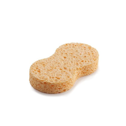 Compostable car wash sponge