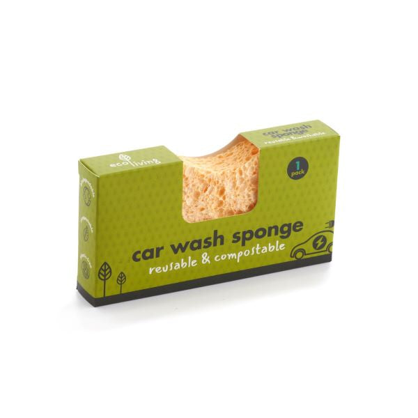 Compostable car wash sponge