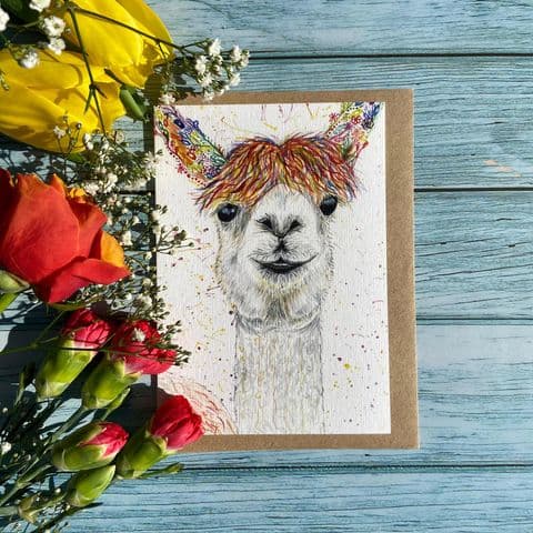 Eco-friendly card Lily the Llama