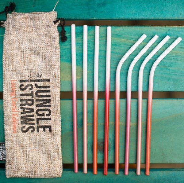 Reusable stainless steel straw set with pouch Living Coral